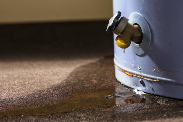 Best Commercial water damage restoration  in Thorsby, AL