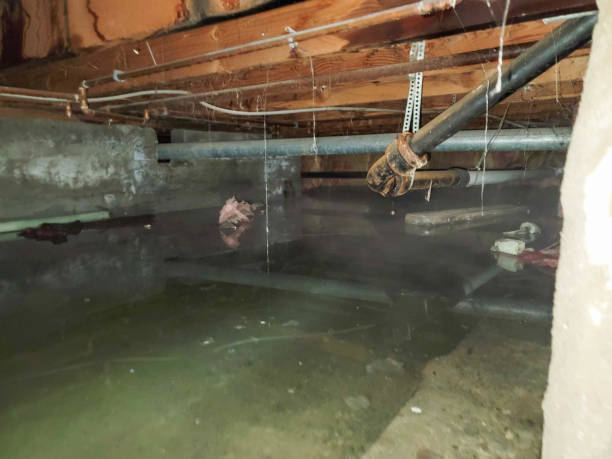 Best 24/7 water damage repair  in Thorsby, AL
