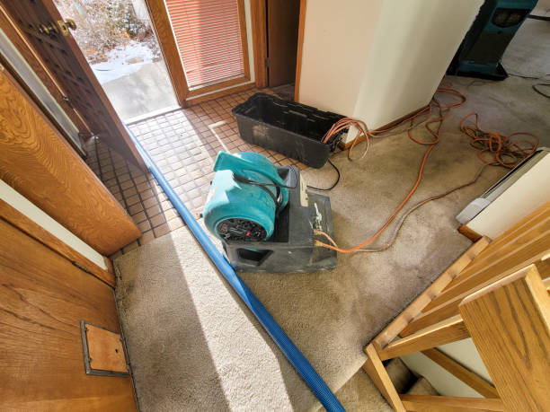 Water damage restoration experts in Thorsby, AL