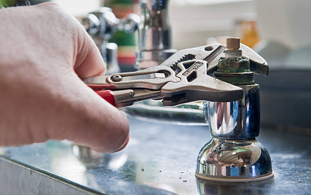 Best Water damage cleanup near me  in Thorsby, AL