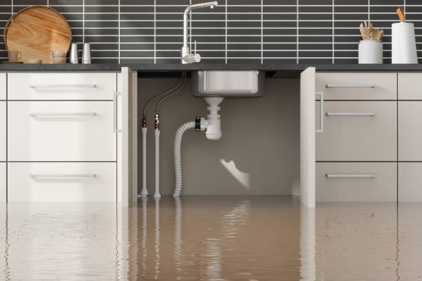 Sewage cleanup and water damage restoration in Thorsby, AL
