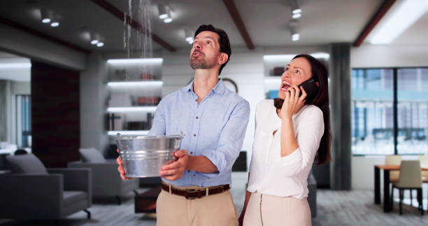 Best Sewage cleanup and water damage restoration  in Thorsby, AL