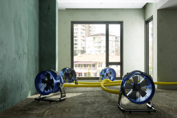 24/7 water damage repair in Thorsby, AL