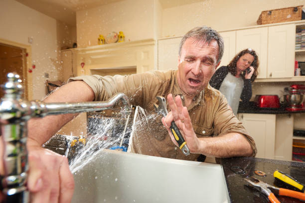 Best Carpet water damage restoration  in Thorsby, AL